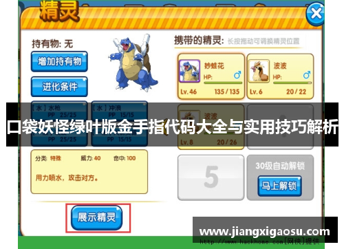 口袋妖怪绿叶版金手指代码大全与实用技巧解析 口袋妖怪绿叶版金手指代码大全与实用技巧解析