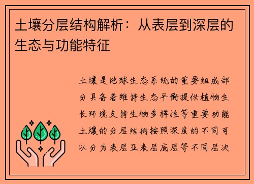 土壤分层结构解析:从表层到深层的生态与功能特征 土壤分层结构解析:从表层到深层的生态与功能特征